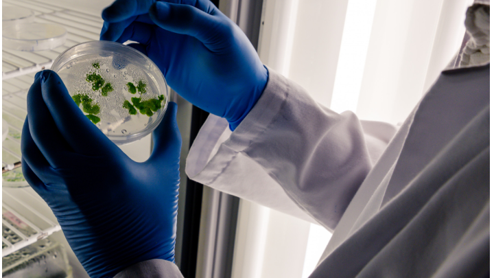 Environmental scientist measuring air pollution levels with handheld device in industrial area