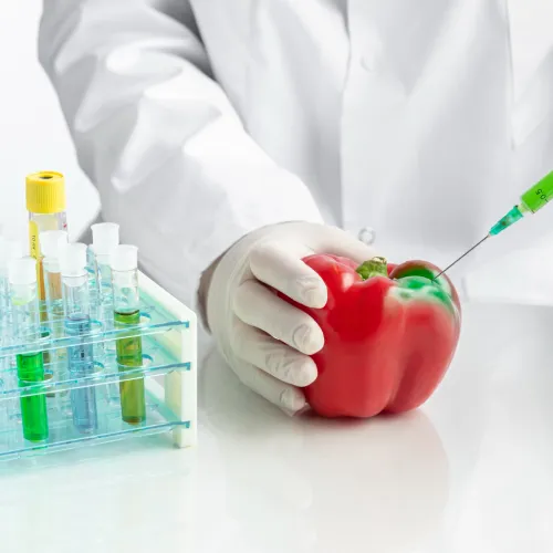 Food Contact Material Testing