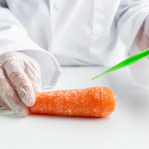 Food Contact Material Testing