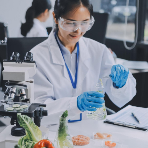 Scientist in a laboratory wearing safety goggles and gloves conducting a food safety test on vegetable samples beside a microscope.